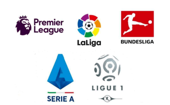 他的体能管 他的体能管